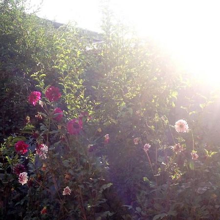 Friendly B&B Ґюмрі Екстер'єр фото